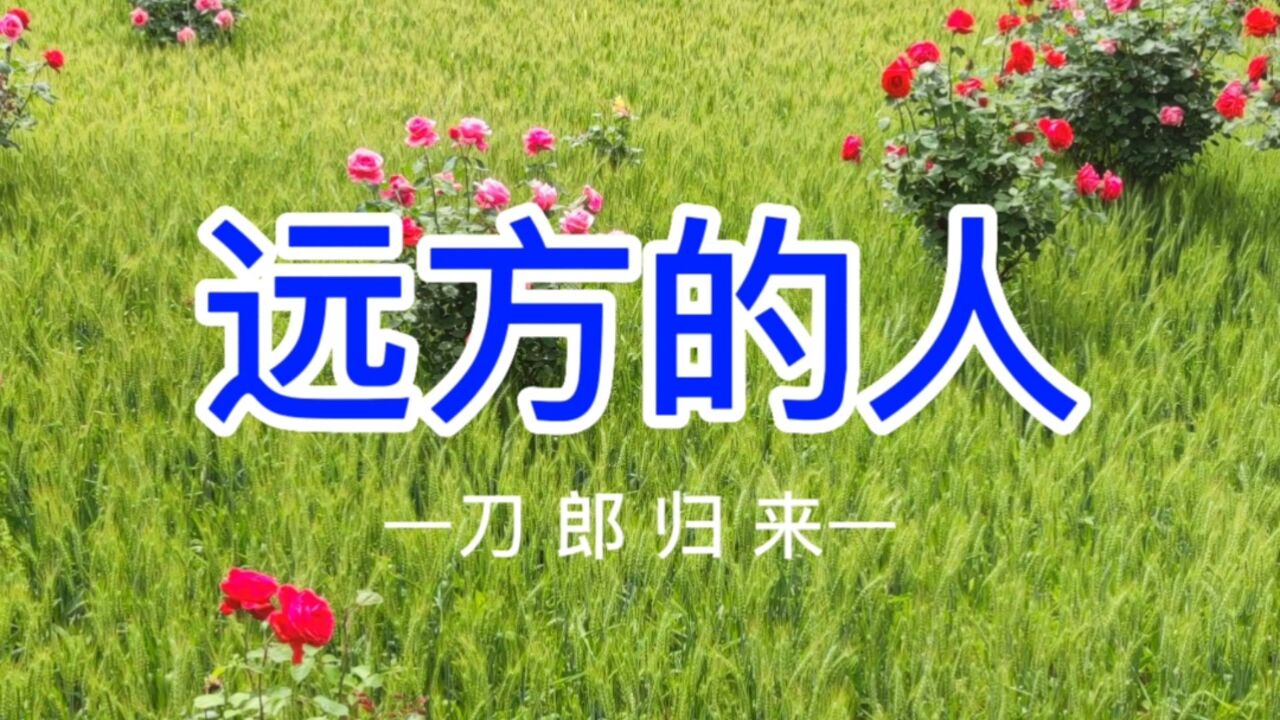 远方的人刀郎原唱(远方的人刀郎原唱歌词)